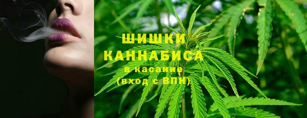 спайс Богородицк