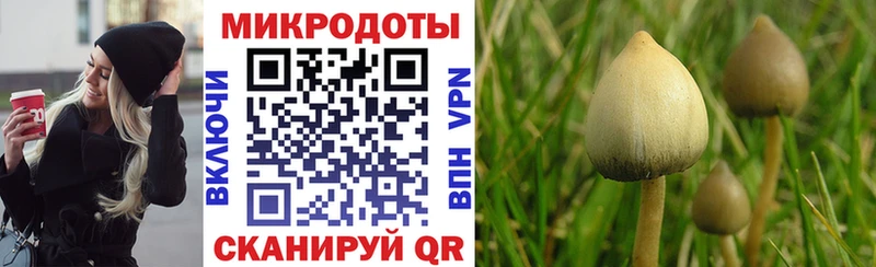 мега зеркало  Дальнегорск  Псилоцибиновые грибы ЛСД  что такое наркотик 