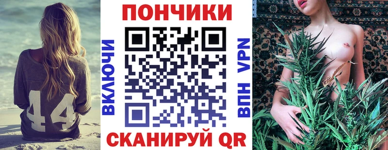 Бошки Шишки ГИДРОПОН  где продают   Дальнегорск 